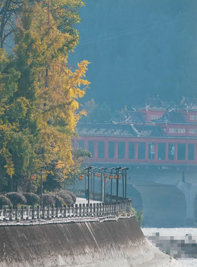 0座“值得去的小城”！绵阳平武为何脱颖而出？pg电子中国春游绵阳 观花乡野 入选国内10(图21)